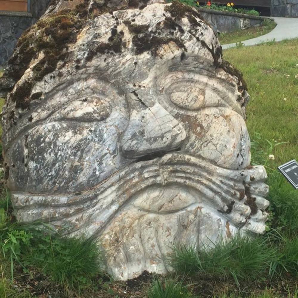 Meet your Posher, Olga